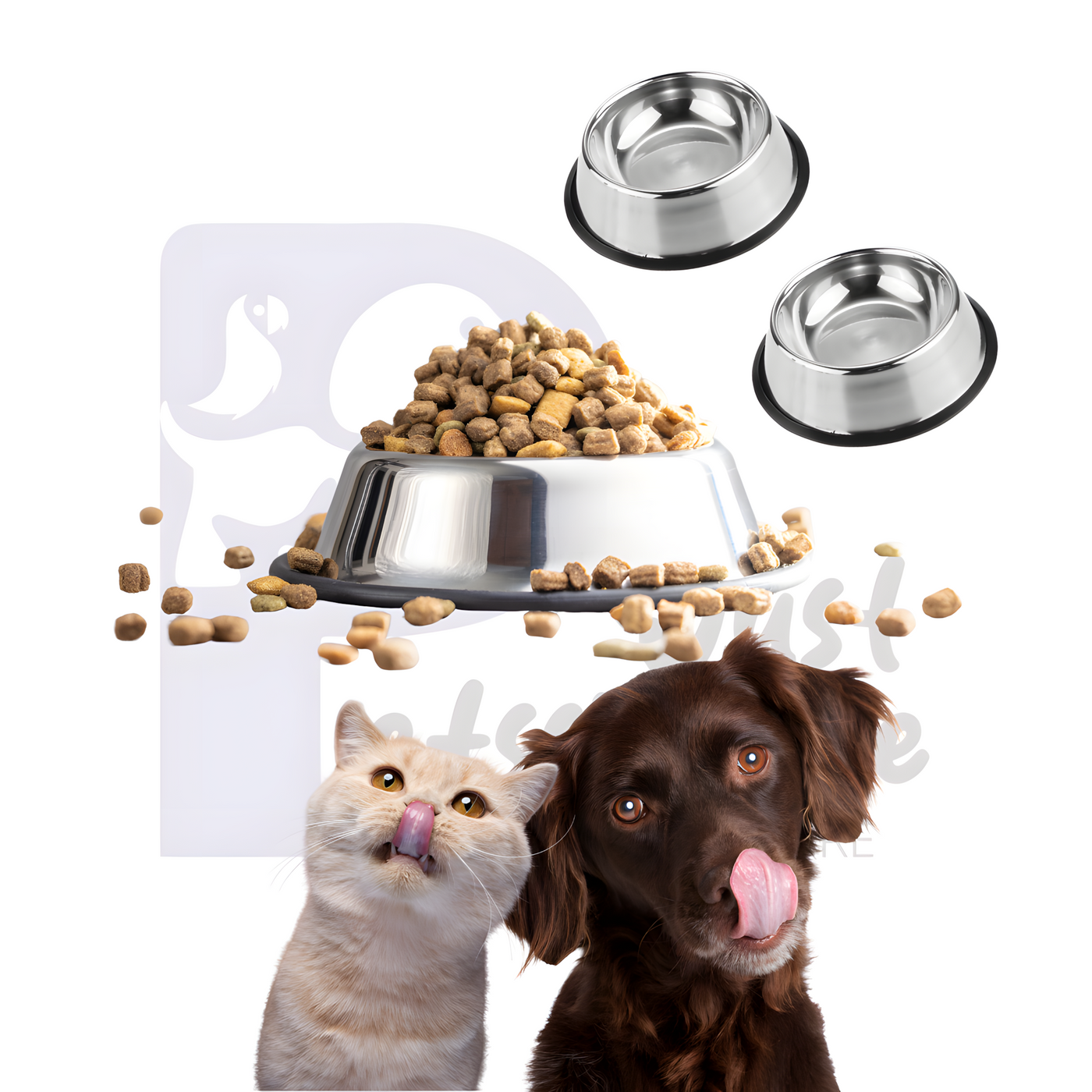 Stainless Steel Pet Food Bowl