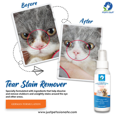 Fluff'n Buff Tear Stain Remover – 120ml